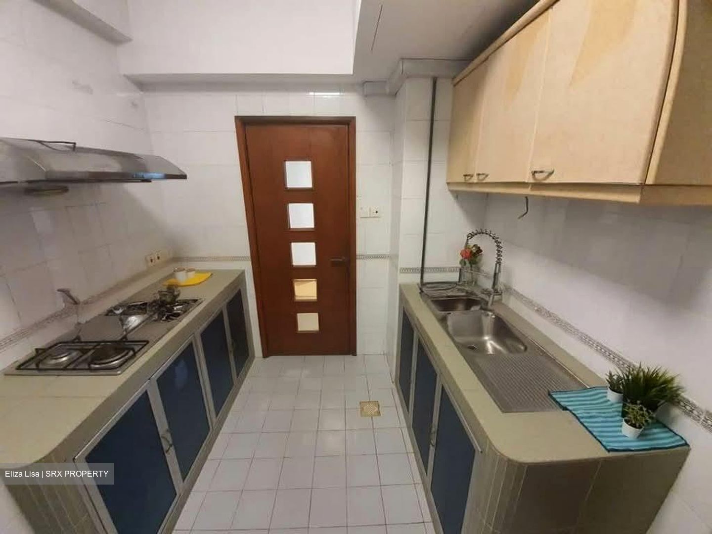 Parc Oasis (D22), Condominium #549123361
